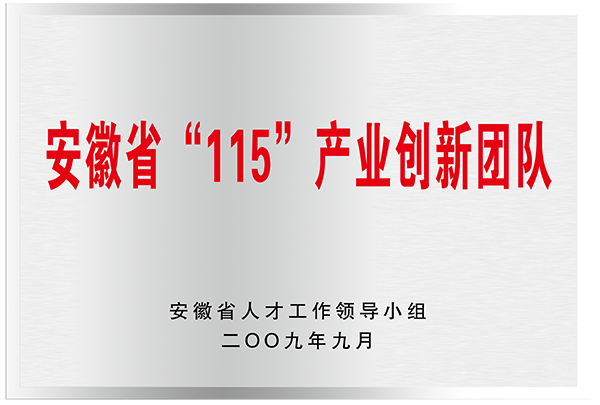 安徽省“115”产业创新团队