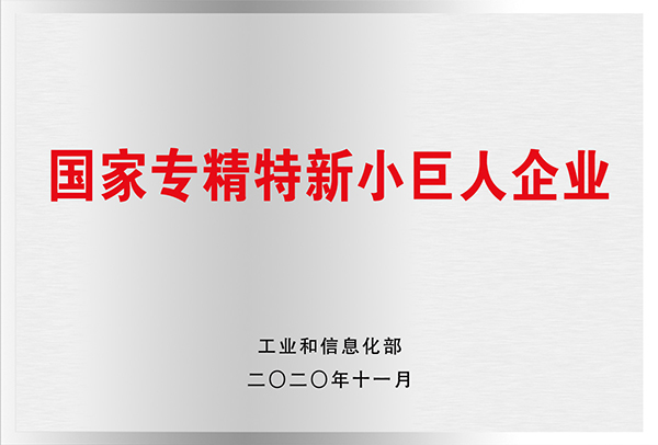 专精特新“小巨人”企业