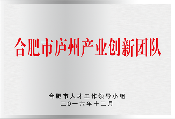 合肥市庐州产业创新团队